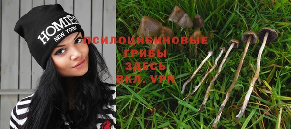 бошки Армянск