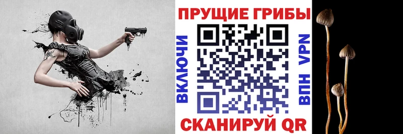 Псилоцибиновые грибы прущие грибы  shop какой сайт  Светлый 
