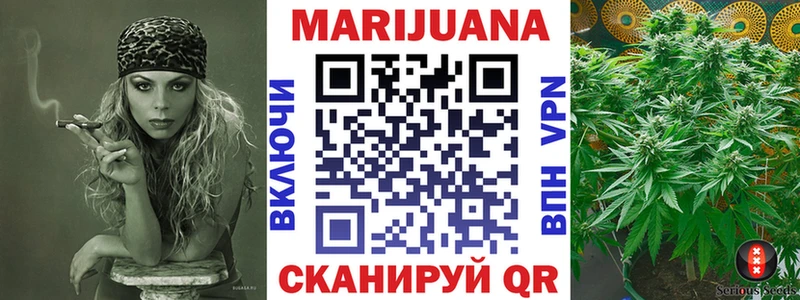 Канабис план Светлый